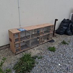 Breeding box  free to take away