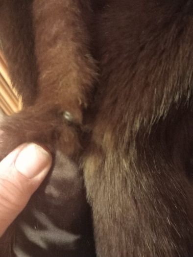 Switzers fur coat, no damage, medium, D18 post 10e