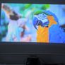 LG PF1000U Ultra Short Throw Projector Image 9