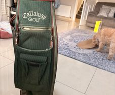 golf bag