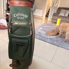 golf bag