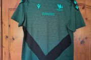 Player issue Macron Connacht Rugby training t-shirt