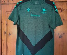 Player issue Macron Connacht Rugby training t-shirt