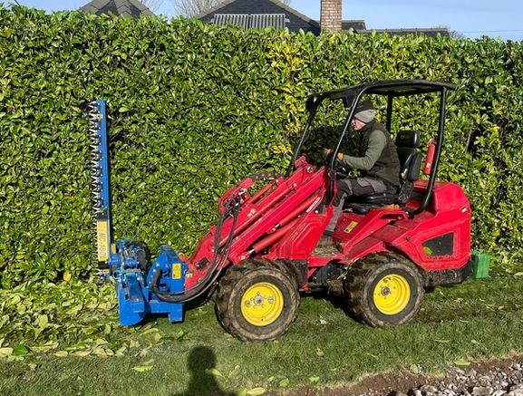 hedge cutting