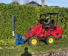 hedge cutting