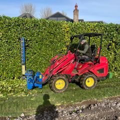 hedge cutting
