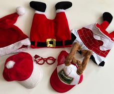Bundle of Christmas Hats and Glasses