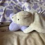 Seal teddy Image 2