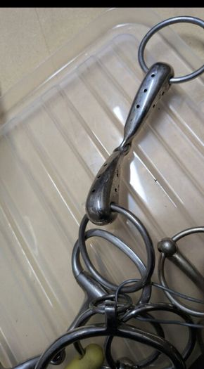 equestrian bits