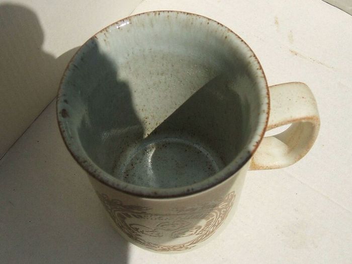 ASSOCIATION OF BRITISH PAEDIATRIC NURSES (by Dunoon Ceramics of Scotland) - a scarce & vintage stoneware effect mug (c.1970's)