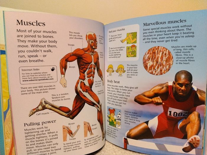 USBORNE First encyclopedia of the human body