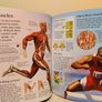 USBORNE First encyclopedia of the human body Image 8
