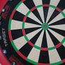 Target Tor Dartboard Image 4