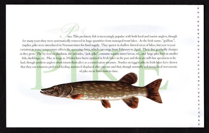 2001 Ireland Freshwater Fish Commemorative Stamp Booklet Mint Never Hinged (MNH). Photos of contents shown.