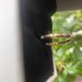 Genuine Pandora 14k solid gold ring Image 2
