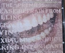 Alanis Morissette. Supposed Former Infatuation Junkie.