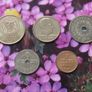 1999 Norway Uncirculated Coin Set Image 5