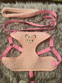 Small Dog Harness and Lead Set