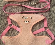 Small Dog Harness and Lead Set