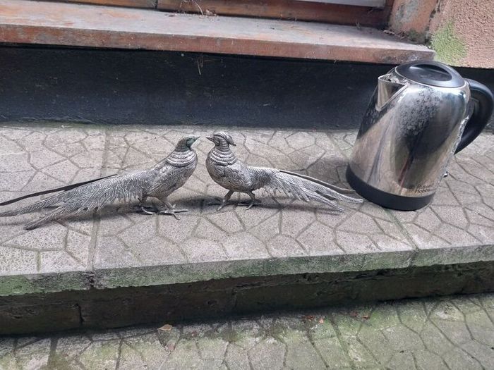 Pair of Pheasants