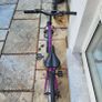 bicycle Image 2
