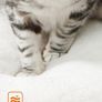 New Cat Scratching Lying Area - FREE Delivery Image 3