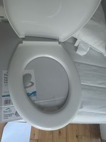 toilet seat