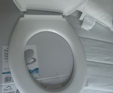 toilet seat