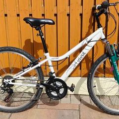 Kids Bike Apollo vivid