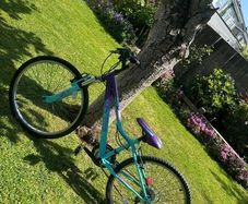 Girls bike