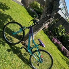 Girls bike