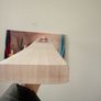 Gray Nicolls cricket bat Grade A English willow Image 4