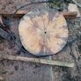 slabs Image 6