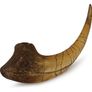 1/1  copy of a prehistoric megaraptor claw Image 6
