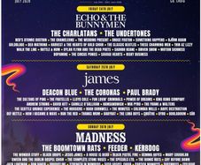 Forest Fest x 2 Weekend