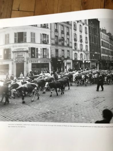 Book 'We Were There Normandy'