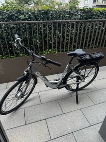 Giant electric bike