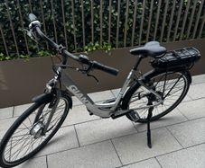 Giant electric bike