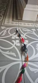 Herd of Toy Dinosaurs