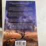 Book. The Hidden Girl by Lucinda Riley Image 2