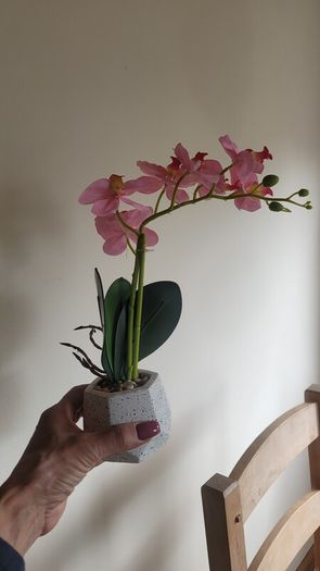 Artificial Plants in Ceramic, Glass, Stone & PVC Pots x8