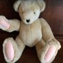 North American bear company family of bears Collectable Image 8