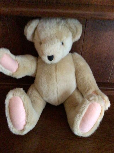 North American bear company family of bears Collectable