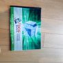 Leaving Cert Books Bundle-History,Englidsh  DCG(100% Clean DCG Workbook) Image 5