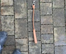 dog lead