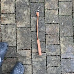 dog lead