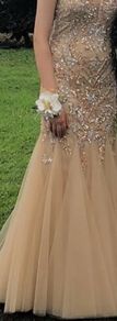 Debs Dress