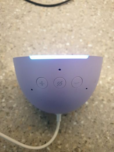Amazon alexa smart speaker