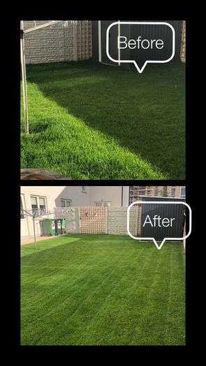 Grass Cutting & Garden Maintenance