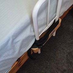 Bed Rail Leaver